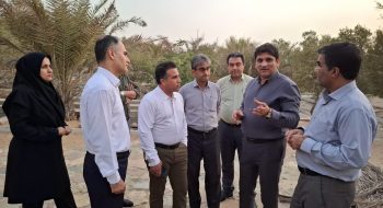 توسعه آرامستان شهر خارگ با رویکرد صیانت از میراث فرهنگی در دستور کار مدیریت شهری